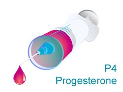 Эстрогены и прогестагены (4 показателя)